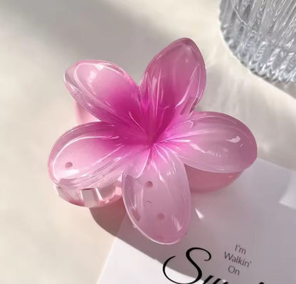 Valentine's Day Premium Jewellery Gift Hamper For Your Loved Ones - DropShp