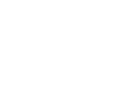 SAVAGE TIGER OVERSIZED T-SHIRT
